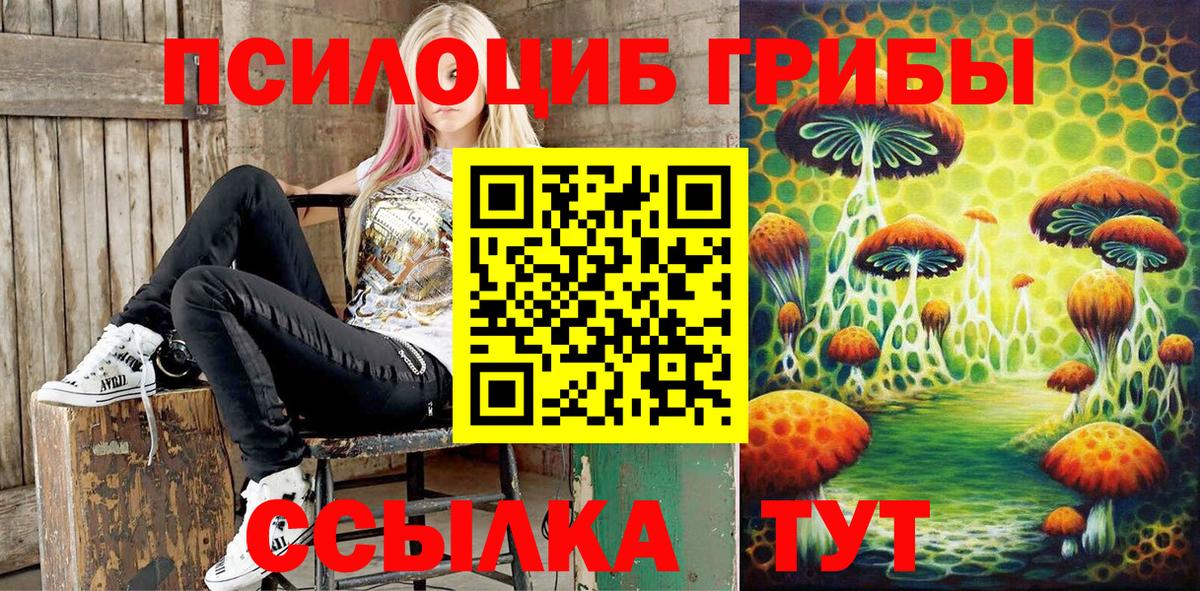 Владикавказ  Галлюциногенные грибы GOLDEN TEACHER  Вход с VPN 
